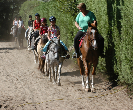 Venue Holidays, Campsite, South West France, Messanges, Horse Riding